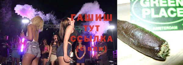 мет Алексин
