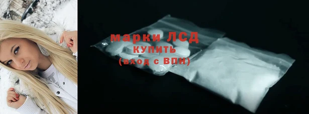 ECSTASY Алзамай