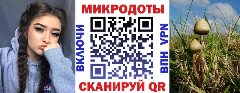 мега рабочий сайт  как найти закладки  Краснодар  Галлюциногенные грибы Psilocybe 